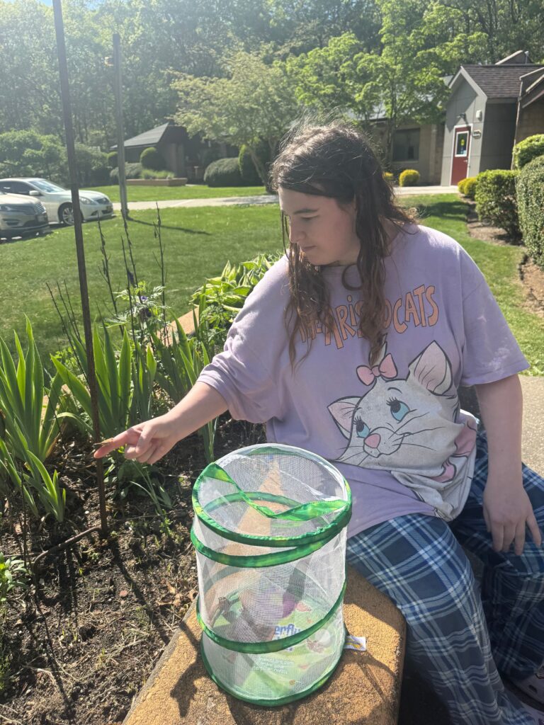A person supported by Citizens collects bugs outside.